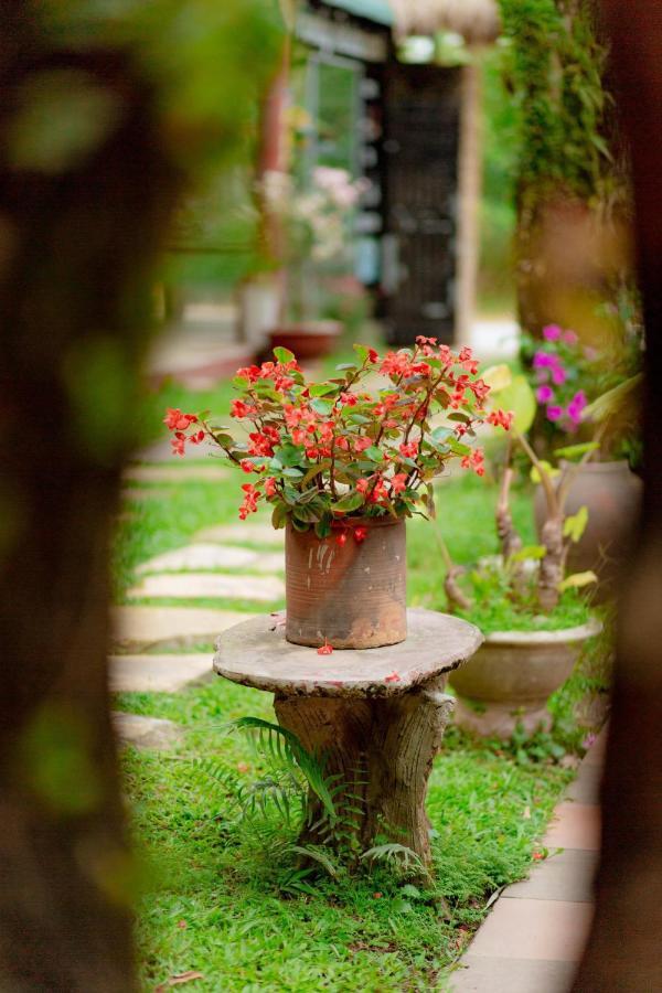 Phong Nha Tuan Garden House Apartamento Exterior foto