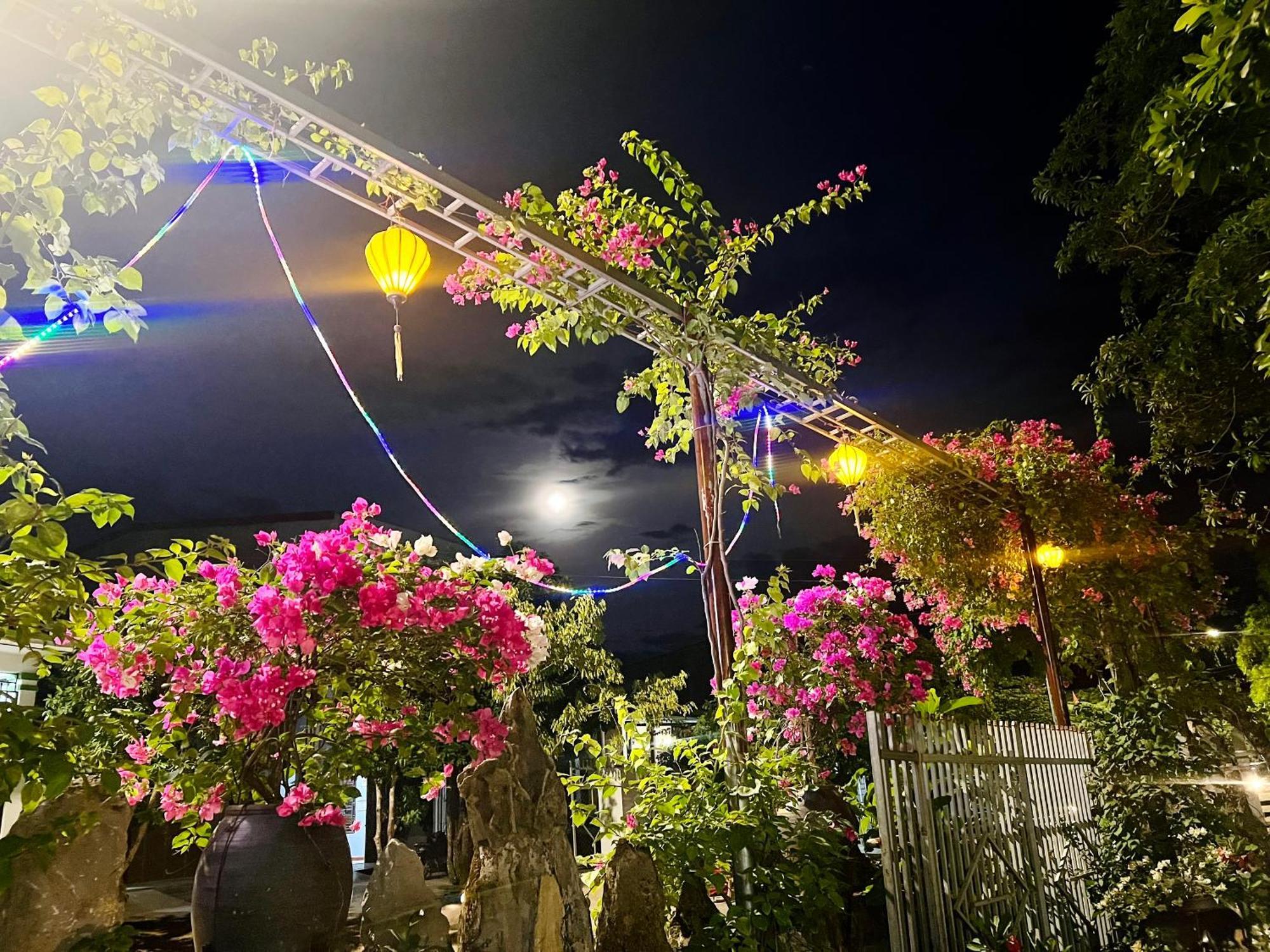 Phong Nha Tuan Garden House Apartamento Exterior foto
